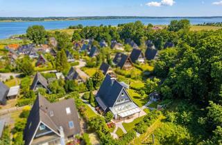 Haus kaufen in 24857 Borgwedel, Traumhaus mit Schleiblick! Idyllische Toplage zwischen Feld & Wasser! Nur wenige Schritte zum Hafen!