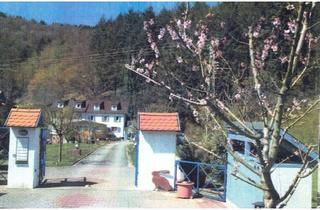 Haus kaufen in 64743 Beerfelden, Vielseitig nutzbares Wohnhaus