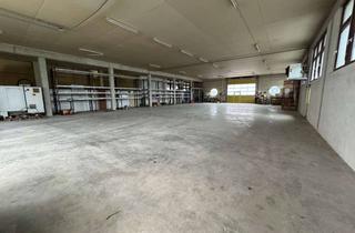 Büro zu mieten in Gräfin-Monika-Straße 33, 88367 Hohentengen, Hallenfläche + Büro kurzfristig verfügbar – stark reduzierte Miete – auf Wunsch mit Add on´s“