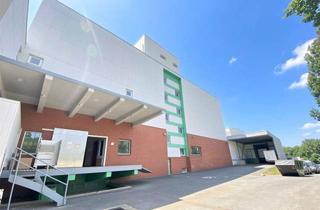 Gewerbeimmobilie mieten in 13597 Spandau, Lagerfläche 134m² mit zwei Lastenaufzügen in Berlin-Westend – ab September verfügbar