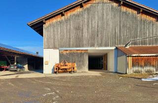 Gewerbeimmobilie mieten in 83737 Irschenberg, Lagerhalle / Gewerbefläche in Irschenberg – beheizbar, ebenerdig und verkehrsgünstig
