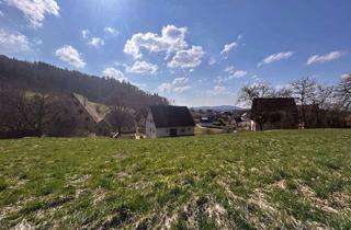 Grundstück zu kaufen in 91244 Reichenschwand, Großzügiges Baugrundstück in ruhiger, naturnaher Lage von Reichenschwand