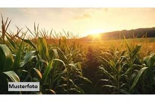 Grundstück zu kaufen in Brandholz, 91604 Flachslanden, Landwirtschaftsfläche - provisionsfrei