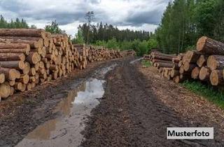 Grundstück zu kaufen in Lusbarg, 25336 Klein Nordende, Forstwirtschaftsfläche
