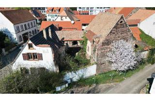 Grundstück zu kaufen in 67269 Grünstadt, Sanierung oder Neubau /// 533 m² Grundstück mit Altbestand und gigantischer Scheune