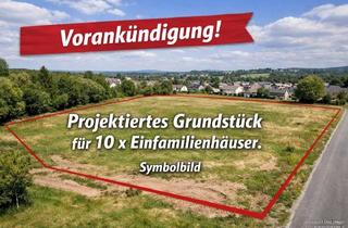Grundstück zu kaufen in 93128 Regenstauf, Projektiertes Grundstück für 10 Einfamilienhäuser vor den Toren Regensburgs
