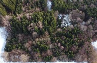 Immobilie kaufen in 86928 Hofstetten, Waldgrundstück mit gutem Baumbestand und idealer Zufahrt nähe Hofstetten