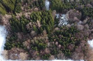 Immobilie kaufen in 86928 Hofstetten, Waldgrundstück mit gutem Baumbestand und idealer Zufahrt nähe Hofstetten