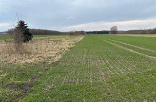 Immobilie kaufen in 86807 Buchloe, **Achtung Landwirte/ Kapitalanleger****Sachwert Grund und Boden**Ackerfläche in Lindenberg