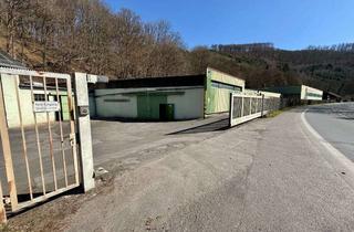 Immobilie kaufen in 58091 Dahl, VIELSEITIGER GEWERBESTANDORT MIT SEHR GUTER LKW-ANBINDUNG UND ENTWICKLUNGSPOTENZIAL !!!