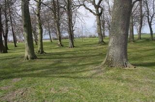 Immobilie kaufen in 24113 Hassee, Mehrere landwirtschaftliche Betriebe in Schleswig-Holstein und Mecklenburg zu verkaufen