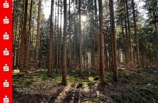 Gewerbeimmobilie kaufen in 83624 Otterfing, Forstwirte aufgepasst: 5,6 ha Wald zu verkaufen