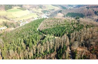 Gewerbeimmobilie kaufen in Versestraße 111, 58513 Lüdenscheid, Arrondierte Forstfläche im MK-Raum Lüdenscheid