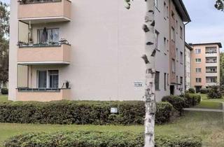 Wohnung mieten in Wilhelm-Gericke-Straße 10, 13437 Wittenau, ZU VERMIETEN: 1 Zimmer-Whg. | 40 m² | 875€ warm | Reinickendorf