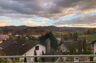 Wohnung mieten in Am Berg 38, 69488 Birkenau, Schöne, helle 2,5 Zimmerwohnung mit traumhaftem Ausblick und Balkon