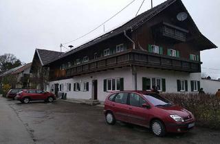 Wohnung mieten in Grünsink, 86928 Hofstetten, Helle 2-Zimmer Altbau-Wohnung in Grünsink-Hofstetten mit alter EBK