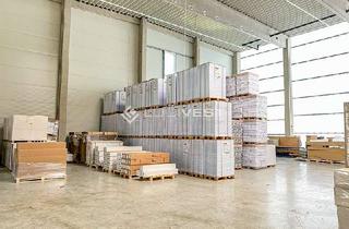 Gewerbeimmobilie mieten in 72658 Bempflingen, Multifunktionale Industriehalle an der B312