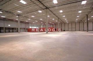 Gewerbeimmobilie mieten in 94315 Straubing, Sofort verfügbare, hochwertige Lager- und Produktionshalle, ca. 6.000 m² mit Rampen zu vermieten