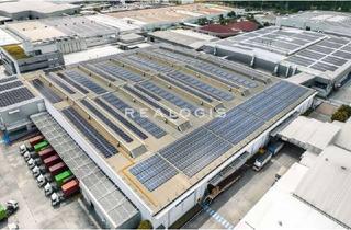 Gewerbeimmobilie mieten in 16515 Oranienburg, Lager-/Logistik-Allrounder, 8 Rampen, 2 ebenerdige Tore, 12,20 m UKB Deckenöhe