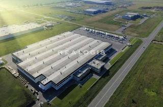 Gewerbeimmobilie mieten in 16356 Werneuchen, Großzügige, moderne Logistikhalle nahe Berliner Ring, A10