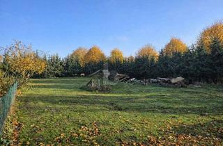 Grundstück zu kaufen in 23968 Zierow, WOHNEN, WO RUHE AUF KÜSTENFLAIR TRIFFT