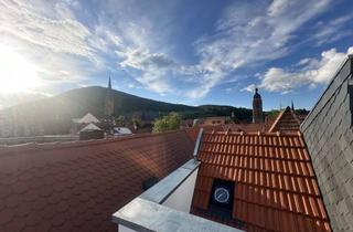 Immobilie mieten in Stangenbrunnengasse 13, 67433 Neustadt, 5er Berufstätigen-WG auf Zeit in kernsaniertem Haus * sehr zentral & möbliert *