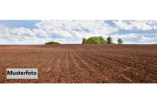 landwirtschaftliche Fläche kaufen in 25725 Schafstedt, 2 Landwirtschaftsflächen