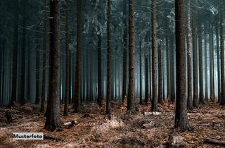 Immobilie kaufen in 16866 Gumtow, Waldfläche