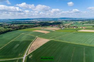 Immobilie kaufen in 06198 Salzatal, Landwirtschaftsfläche
