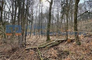 Immobilie kaufen in 91757 Treuchtlingen, Waldgrundstück in der Gemarkung Wettelsheim