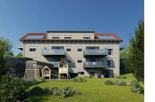 Wohnung kaufen in 75397 Simmozheim, Neubauprojekt mit 8 Wohneinheiten in Simmozheim!