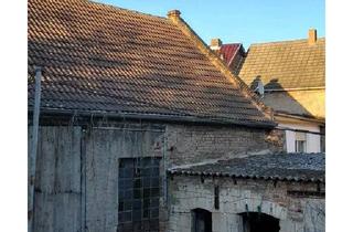 Haus kaufen in 06636 Laucha, Laucha an der Unstrut - Scheune in Laucha an der Unstrut