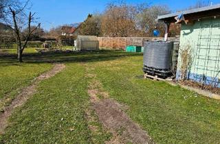 Haus kaufen in 03058 Neuhausen, Neuhausen/Spree - EFH mit Einliegerwohnung