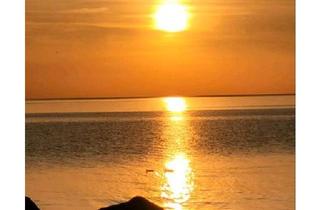 Haus kaufen in 17459 Koserow, Koserow - Grundstücke mit 2 Häuser und Rohbau zu verkaufen in Neppermin