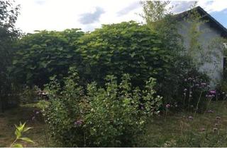 Haus kaufen in 01936 Königsbrück, Königsbrück - massives Haus im Kleingartenverein Königsbrück zu verkaufen