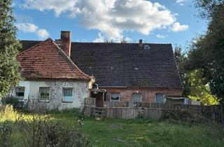 Doppelhaushälfte kaufen in 17139 Malchin, Malchin - Doppelhaushälfte Schnäppchenhaus