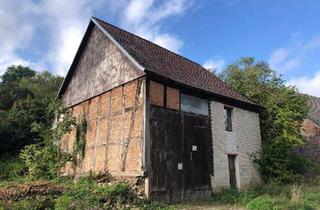 Haus kaufen in 16248 Oderberg, Oderberg - Scheune ,ausbaufähig mit 2900 qm Südhang