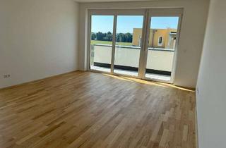 Wohnung mieten in 60438 Frankfurt, Erstbezug am Riedberg – lichtdurchflutete 4-Zimmer-Wohnung mit großer Dachterrasse