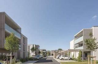 Wohnung mieten in Nezfeld, 78315 Radolfzell, Ansprechende 3-Zimmerwohnung in Böhringen 10.11