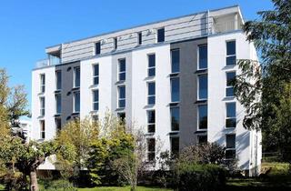 Wohnung mieten in Albert-Einstein-Str. 7a, 18059 Südstadt, Exklusive moderne 1-Zimmer-Wohnung in Rostock-Südstadt