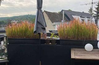 Wohnung mieten in Breitestr., 56220 Kettig, Renovierte 2,5-Zimmer-Wohnung im 2. OG mit Balkon in Kettig