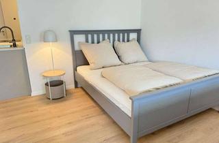 Lofts mieten in Regensburger Straße 66, 94315 Straubing, Charmantes 1-Zimmer Loft in Straubing Kernstadt, modernisiert