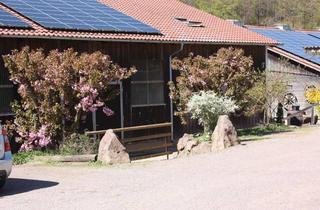 Wohnung mieten in 79350 Sexau, Reitanlage bietet Wohnmöglichkeit