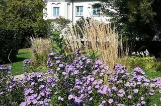 Haus kaufen in Hauptstraße 100, 93351 Painten, Edles Herrenhaus/Schloss nahe Regensburg