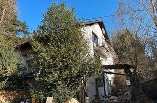 Haus kaufen in 66687 Wadern, Haus mit großem Naturgrundstück in Randlage