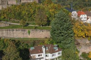 Haus kaufen in Schloßwaldweg 18, 64678 Lindenfels, Wohnen wie ein Burgherr - 4 Parteien, für Kapitalanleger oder Eigennutzer