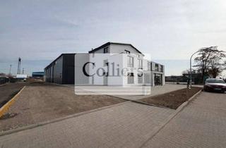 Gewerbeimmobilie kaufen in 14656 Brieselang, Neubau Light-Industrial-Immobilie mit Top-Ausstattung