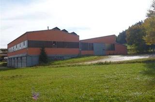 Gewerbeimmobilie mieten in Seetalstraße, 89564 Nattheim, Fertigungshalle/Lagerhalle zu Vermieten