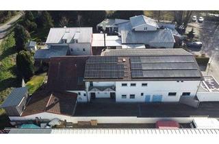 Gewerbeimmobilie kaufen in 76351 Linkenheim-Hochstetten, Wohnen und Arbeiten perfekt kombiniert - ideal für Unternehmerfamilien!