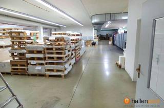 Gewerbeimmobilie mieten in 92237 Sulzbach-Rosenberg, Moderne Lager- & Produktionsfläche – renoviert 2024 | hohe Bodenlast | Starkstrom *PROVISIONSFREI*